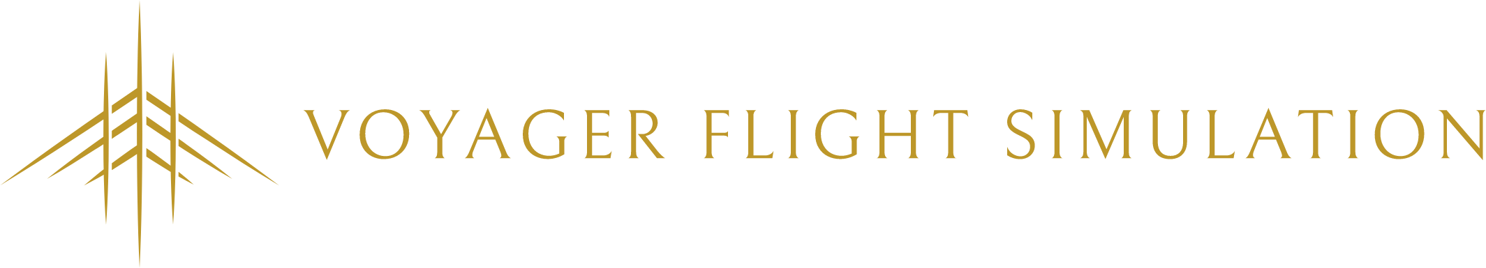 Voyager Flight Simulation Logo